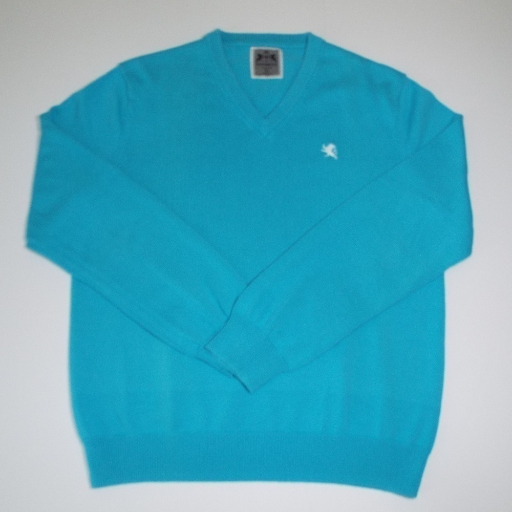 Express V Neck Sweater